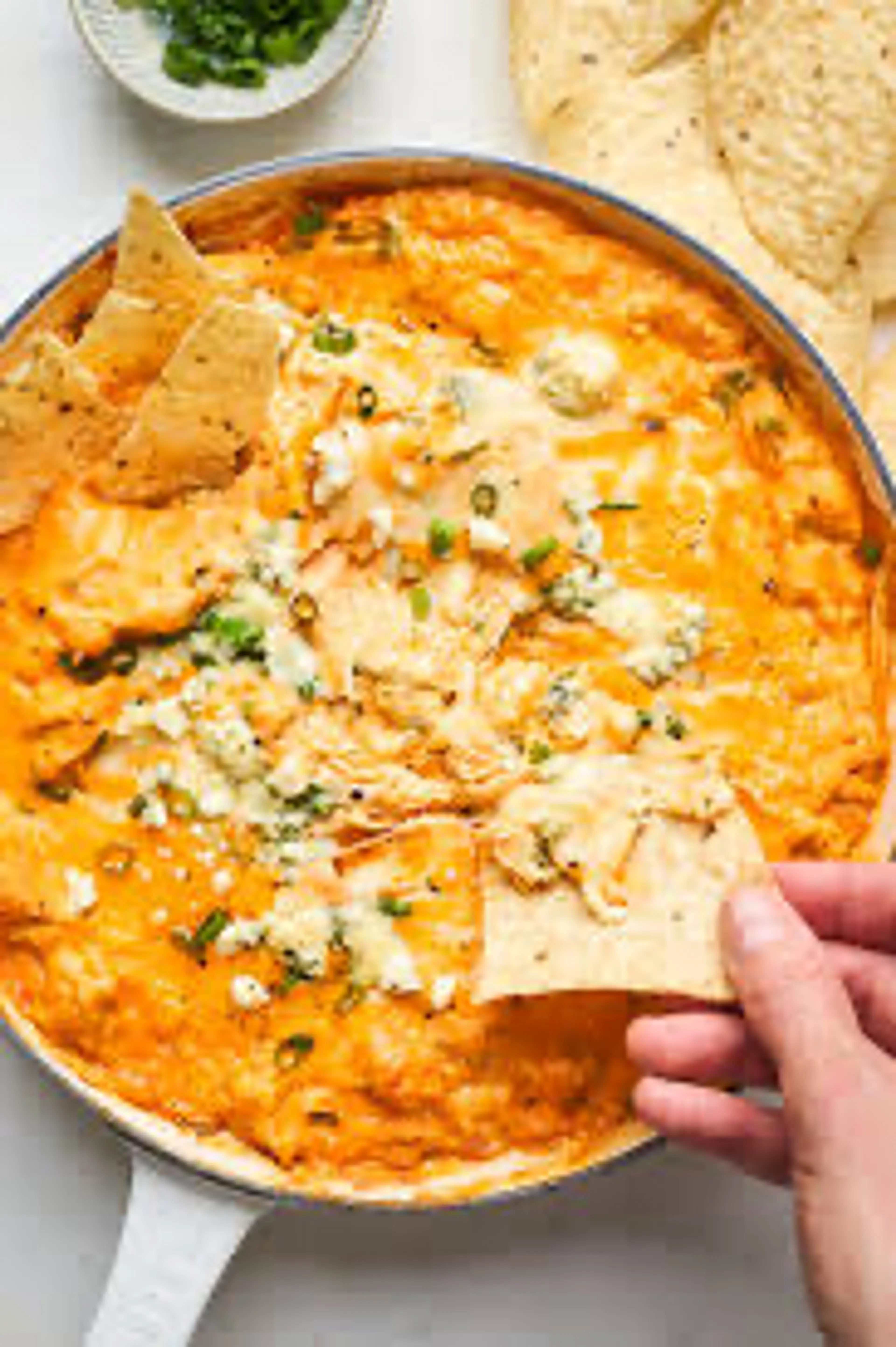 Buffalo Wing Dip