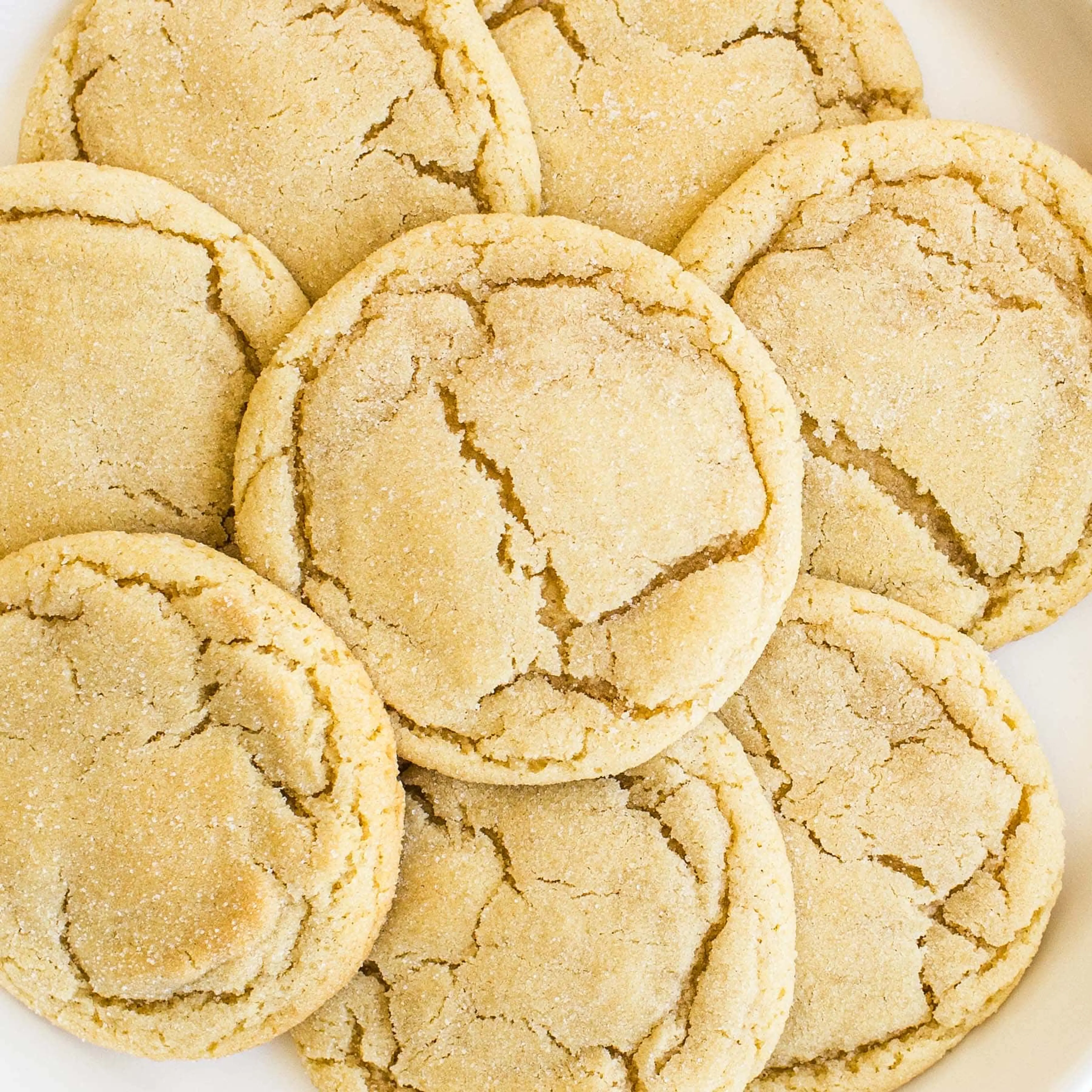 Soft and Chewy Sugar Cookies