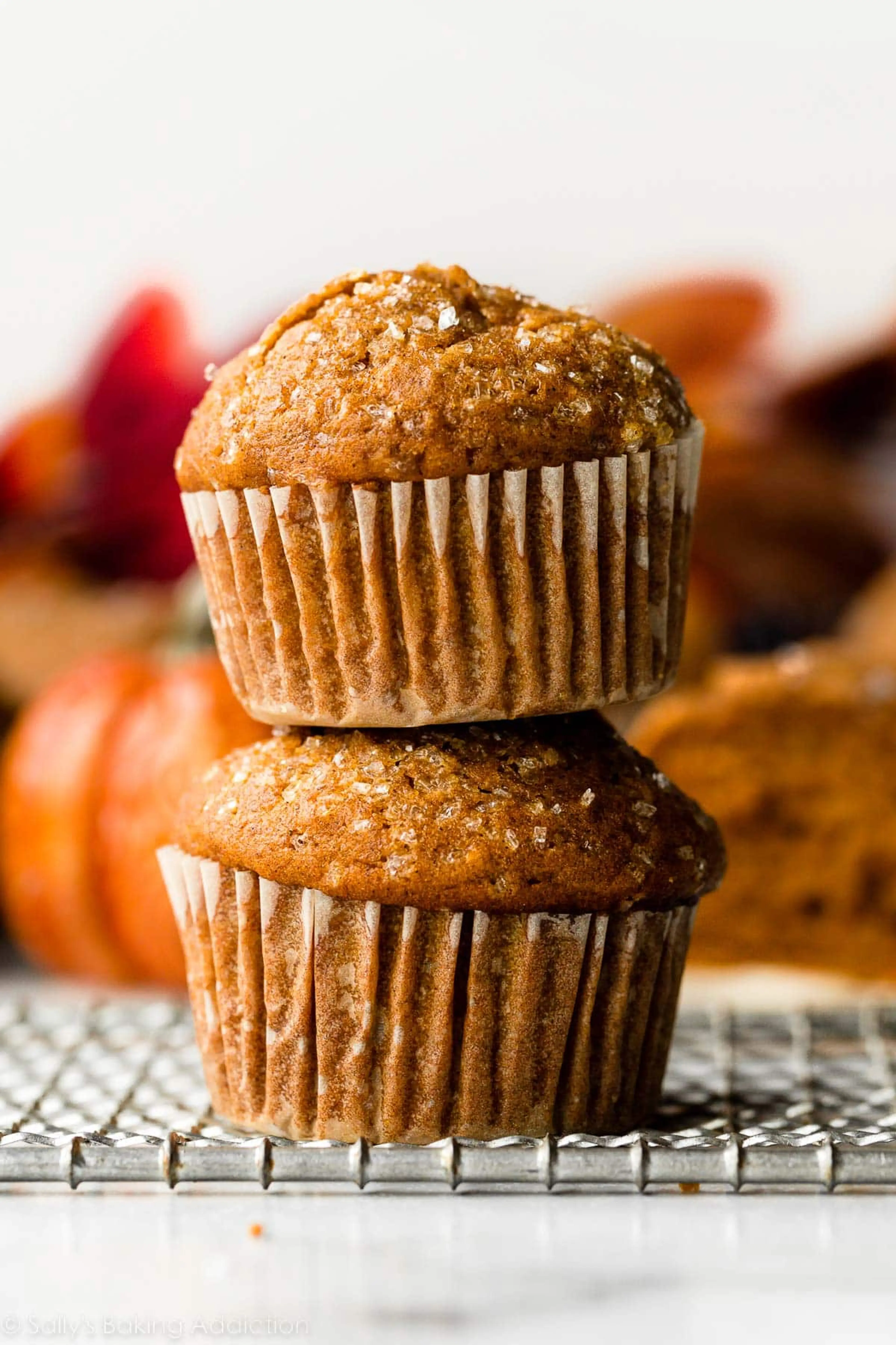 Pumpkin Muffins